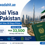 Dubai Visa for Pakistan Price Requirements and How to Apply Online 2026